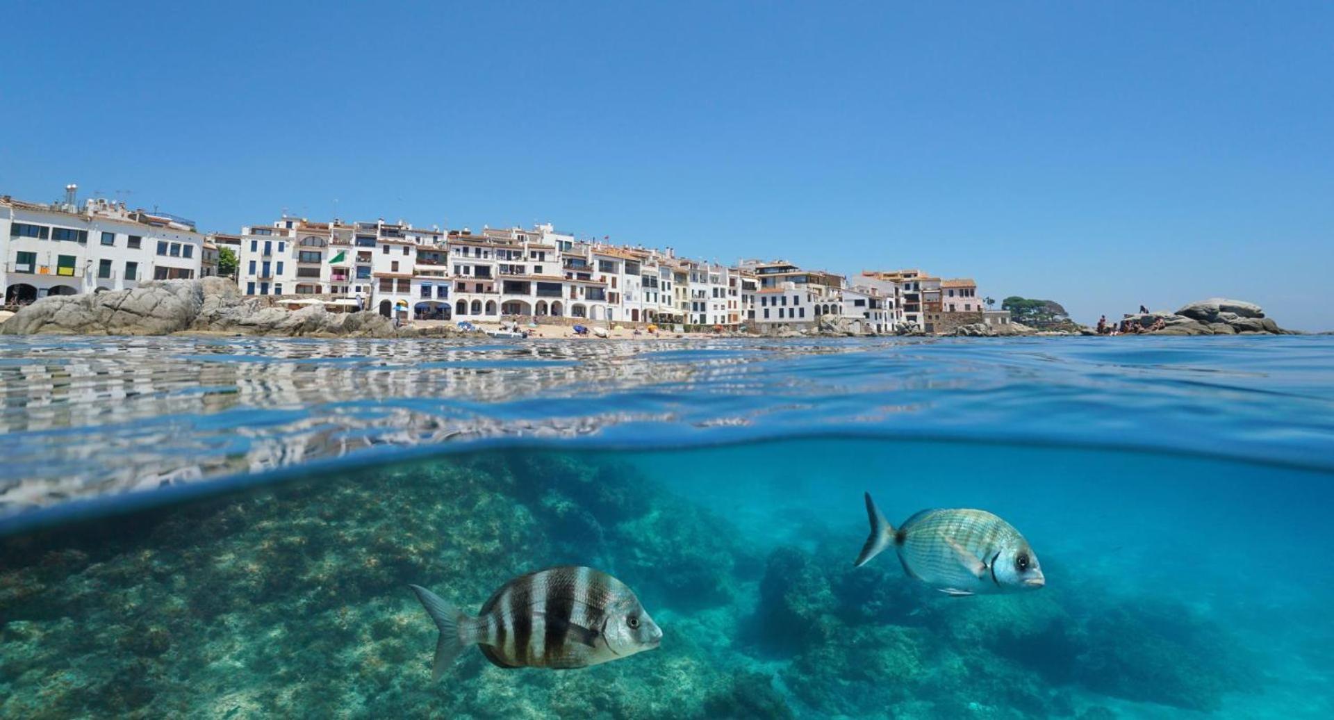 Apartamento Recien Reformado A 300 Metros Del Mar Calella De Palafrugell Exterior foto