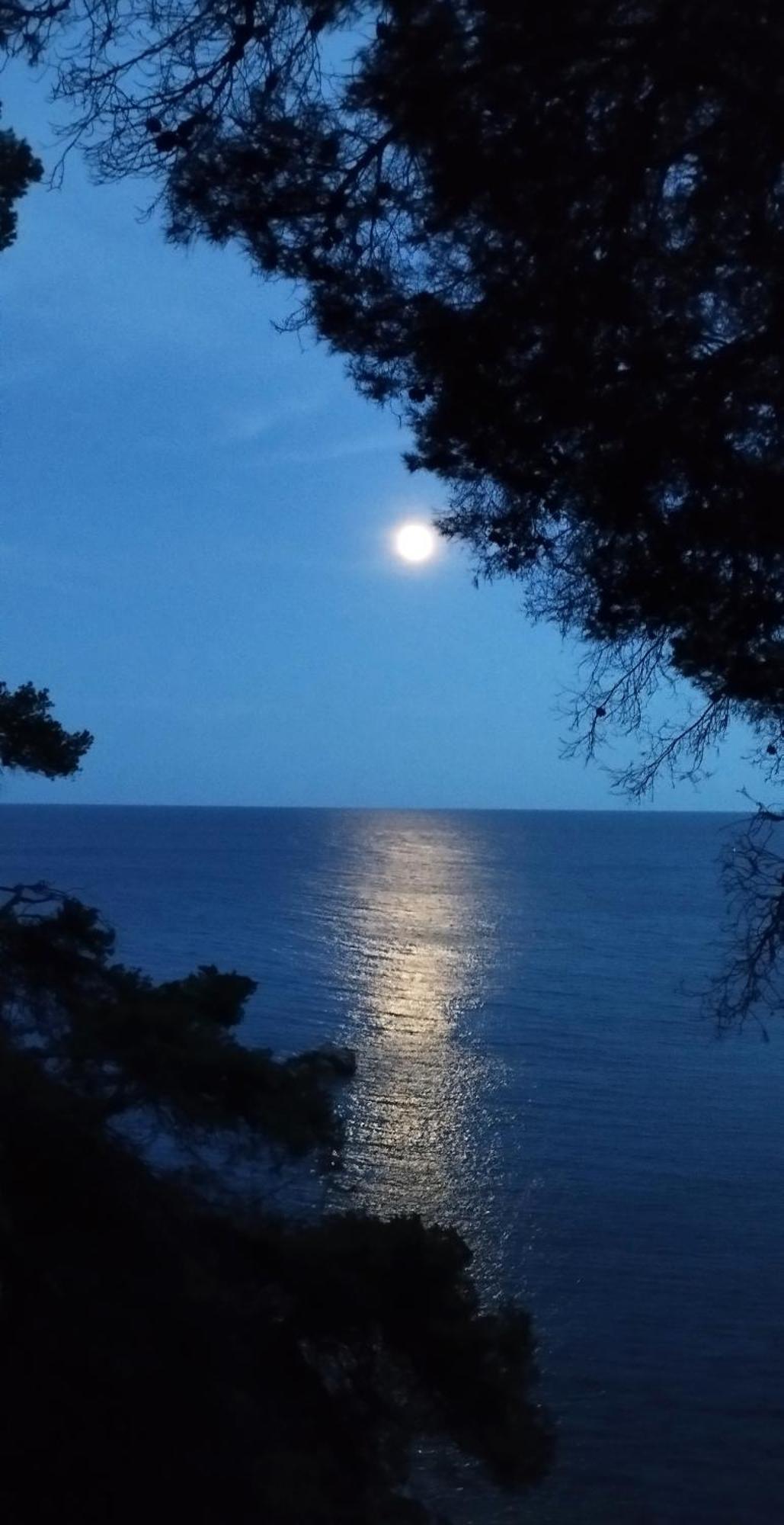 Apartamento Recien Reformado A 300 Metros Del Mar Calella De Palafrugell Exterior foto