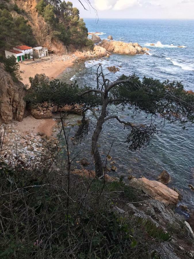 Apartamento Recien Reformado A 300 Metros Del Mar Calella De Palafrugell Exterior foto